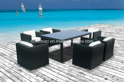 Outdoor Wicker Furniture for Dining Room with Chairs / SGS (6310-1)