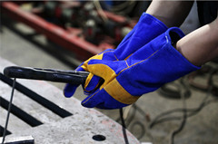 Blue Cow Split Welder Gloves with Yellow Reinforced Dlw627