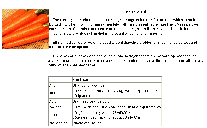 Middle Size Fresh Carrots with High Grade Specification for Selling