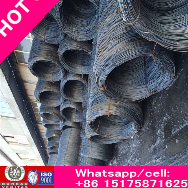 Galvanized Wire Diameter: 0.37mm-4.0mm Zinc Coating: 15g/mm2 Tensile Strength: 340MPa-420MPa