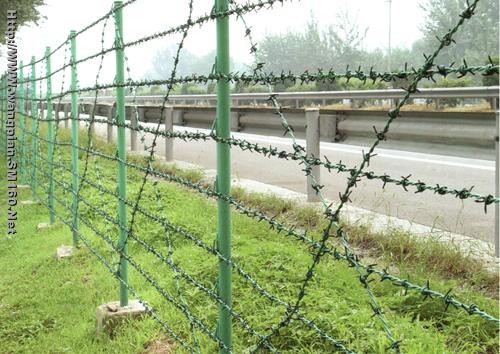 Galvanized Concertina Razor Barbed Wire