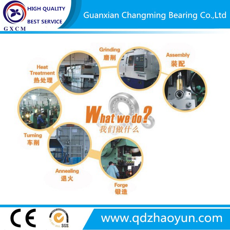 High Standard Precision Chrome Steel Deep Groove Ball Bearing