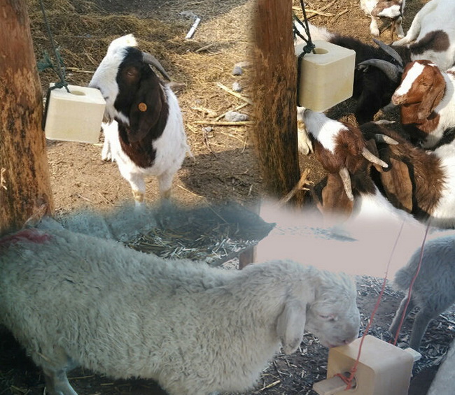 Mineral Salt Block for Cattle and Sheep, Improve Meat Quality, Increase Nutrition Ingredient