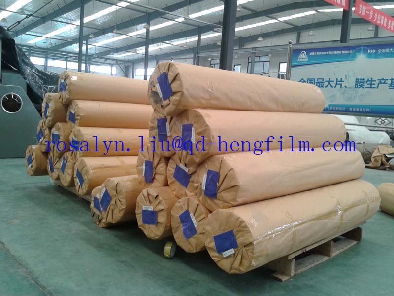 Clear Pharmaceutical PVC Rigid Film for Blister Packaging of Pills. Tablets, Capsule