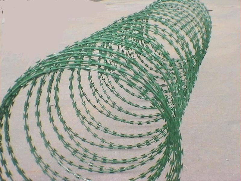 PVC Coated Razor Blade Wire (R-DPCS)