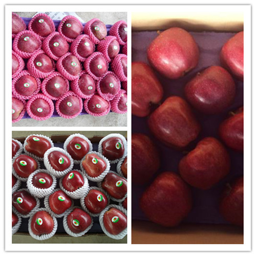 Exporting Standard Packing Fresh Red Apple, Huaniu Apple