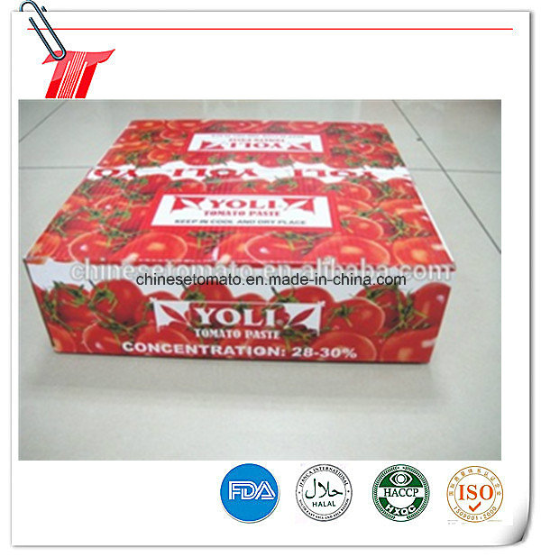 Wholesale Canned and Sachet Toamto Paste with Yoli Brand