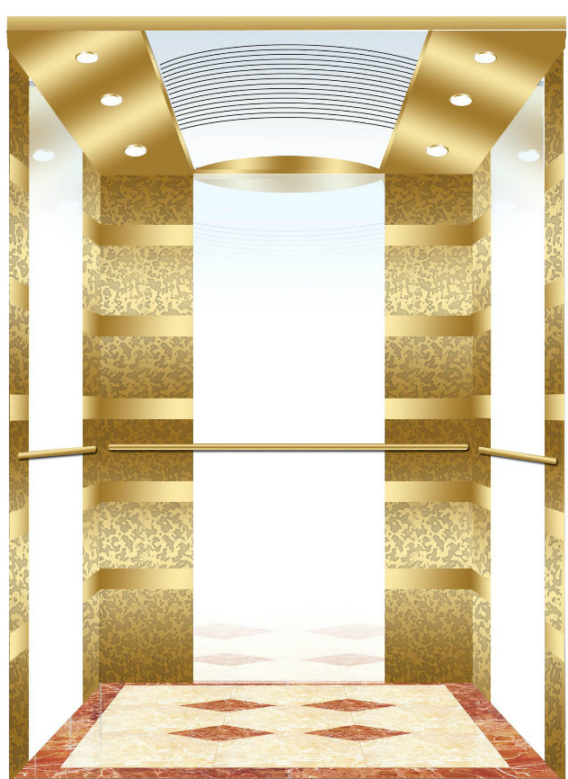 1600kg Passenger Elevator with Golden Etching Finish (XNK-002)