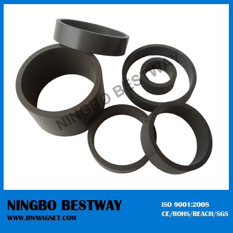 Different Strong Neodymium Multipole Ring Magnet