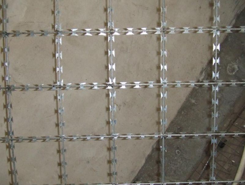 Low Carton Steel Barbed Wire