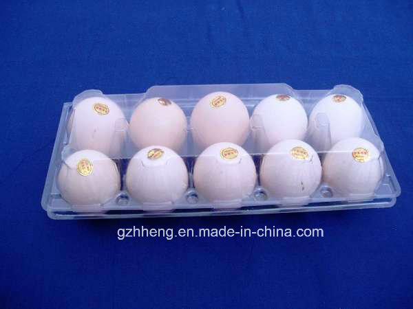 2/4/6/8/10/12/15/18/24/30 Holes Disposable Plastic Eggs Tray (PVC egg container)