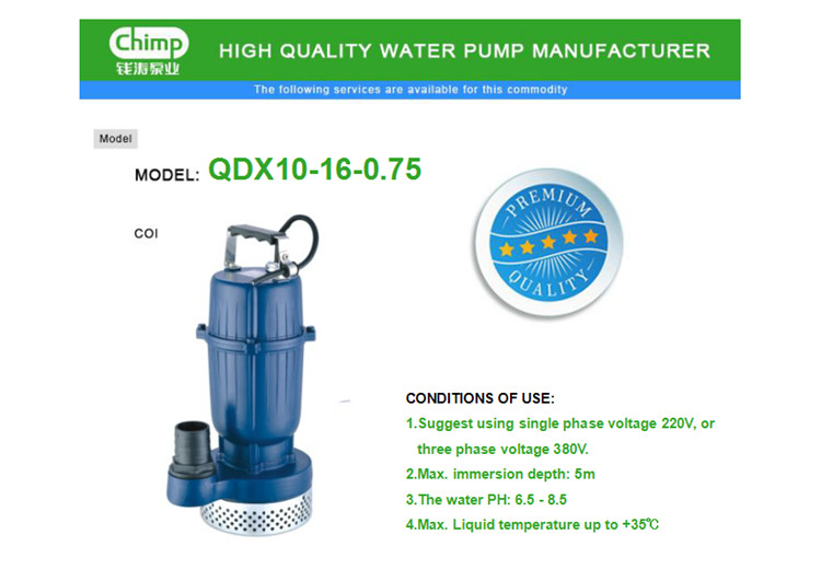 Qdx Cast Iron Submersible Water Pump