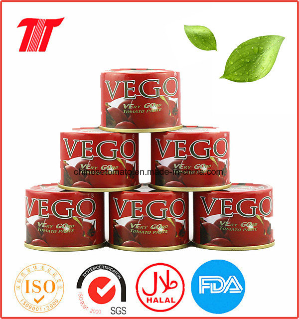 Wholesale High Quality Canned Tomato Paste