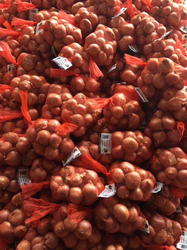 2016 Fresh Shallot (3-5 cm) in 1lb or 40lb Mesh Bag