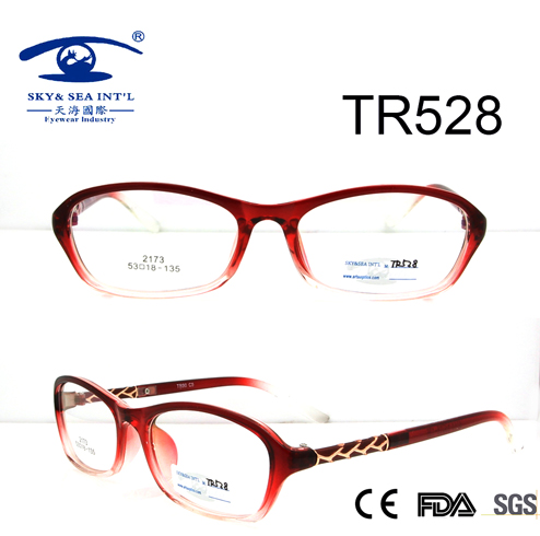 High Quality New Tr90 Optical Glasses (TR528)