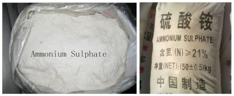 Agriculture Fertilzer Ammonium Sulfate Nitrogen21%