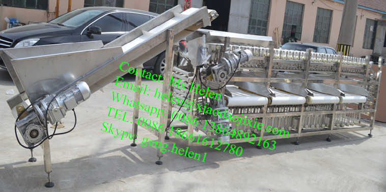 High Quality Potato and Apple Washing Sorting Line