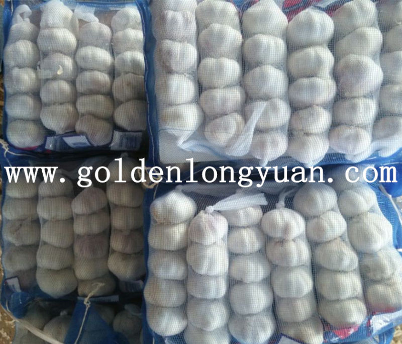 Normal White Garlic Packed with 3p in 10kg Mesh Bag