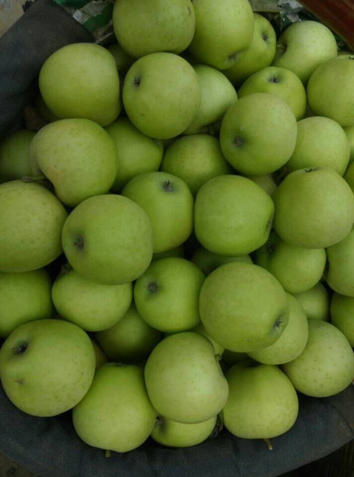 Fresh Green Apple/Green Qinguan Apple of China