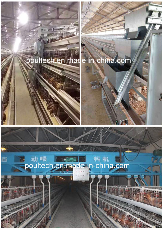 Hot Sale Galvanized Chicken Cage Layer Farm Equipment for Aisa