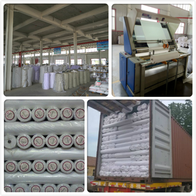 Non Woven Interlning for Bangladesh Market