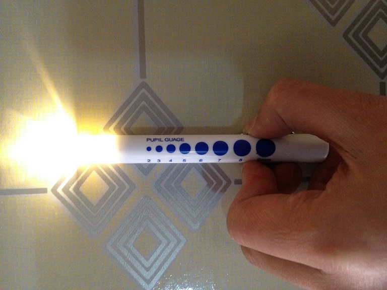 Promotional Disposable Medical LED Penlight