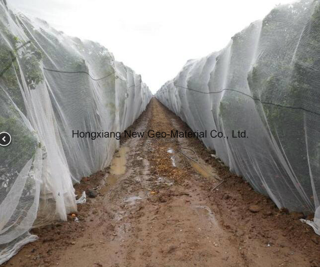 Anti Insect Net 100% HDPE with UV 5 Years Insect Screening