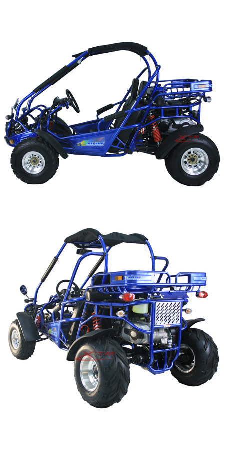 Automatic Differential 300cc 2 Seat Dune Buggy
