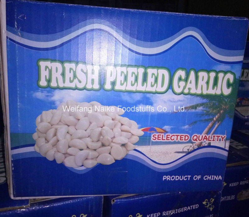 Wholesale High Quality Fresh Garlic