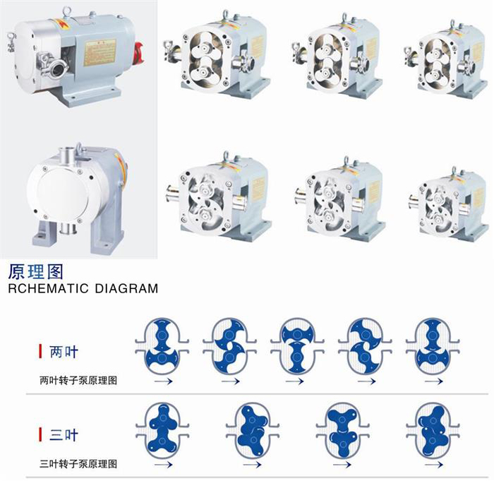 Sanitary Stainless Steel Rotor Pump