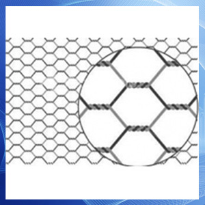 Hexagonal Wire Netting for Fencing Purpose