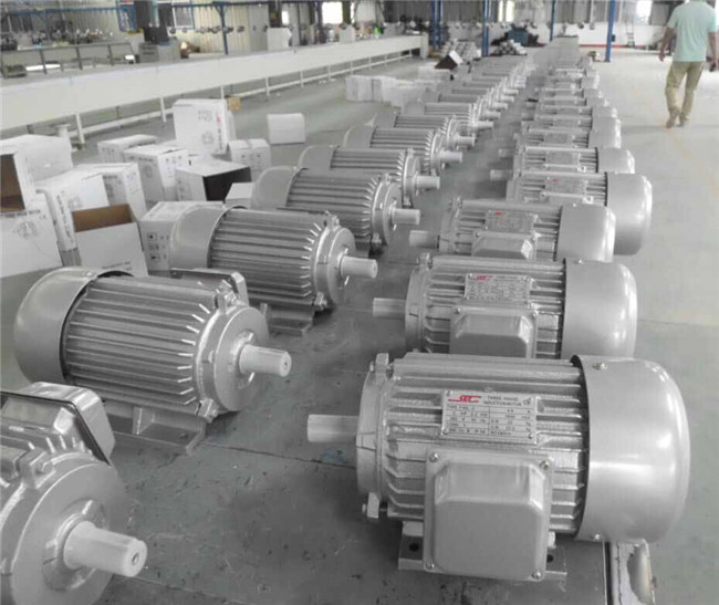 Y Series Three-Phase Induction Electric Motor 220V