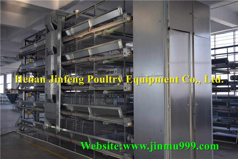 H Type Automatic Broiler Chicken Birds Poultry Cage