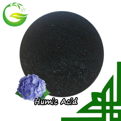 Water Soluble Powder or Flake Super Humic Acid