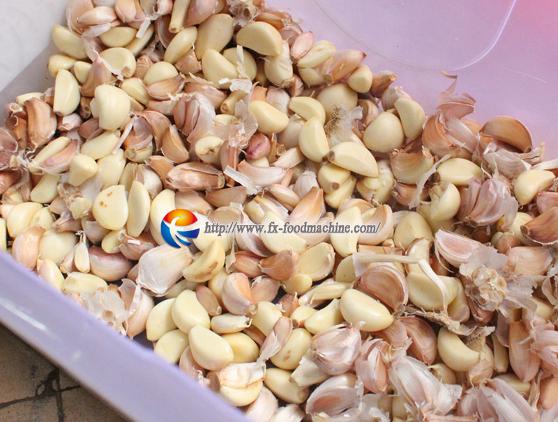 Garlic Separating Machine Fx-139