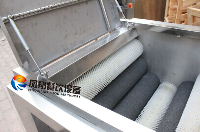 Roller Brush Type Maca Washing and Peeling Machine