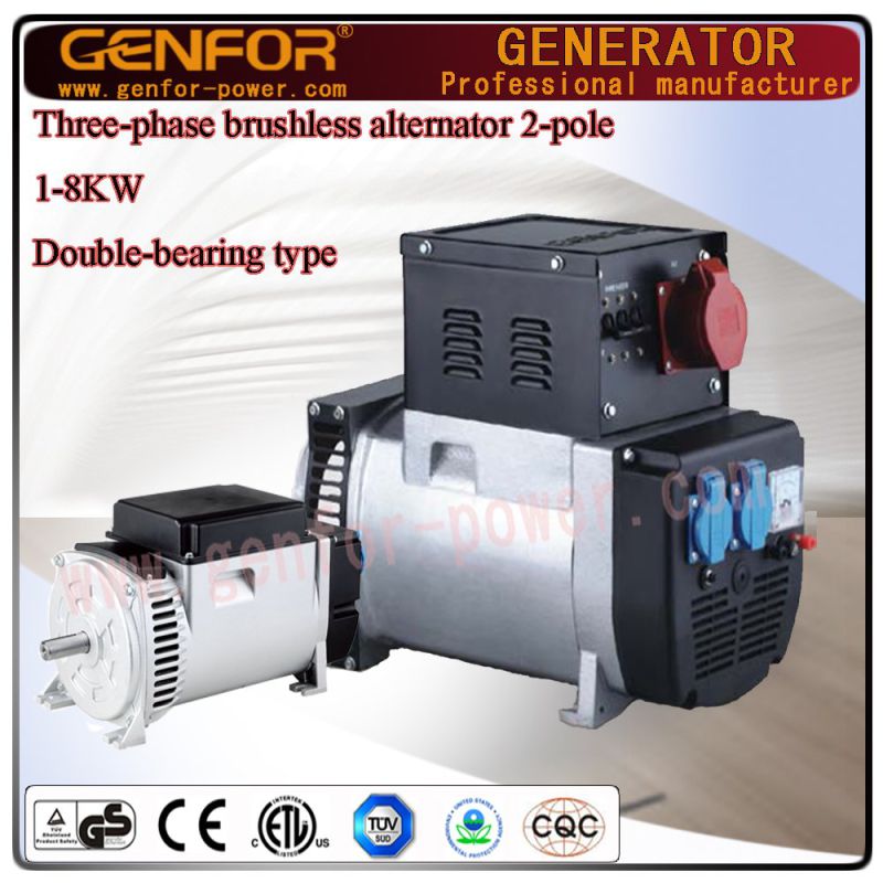 5kVA Hot Sale Double-Bearing Alterantor with Brush AVR Battery Charge, Electric