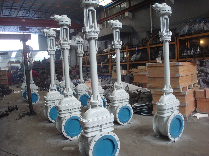 Cast/Forgged Bellows Sealing Gate Valve Wzh