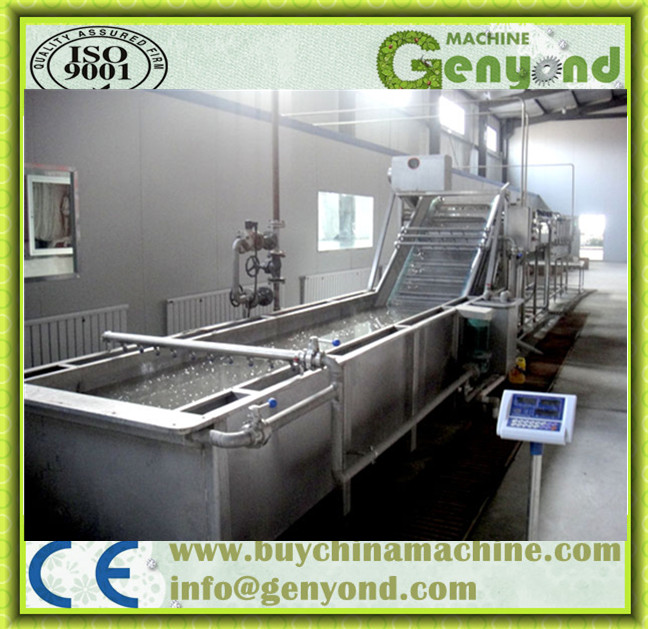 Full Stainless Steel Fruit Washing Machine