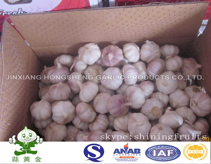 Normal White Garlic 10kgs Carton Packing From China