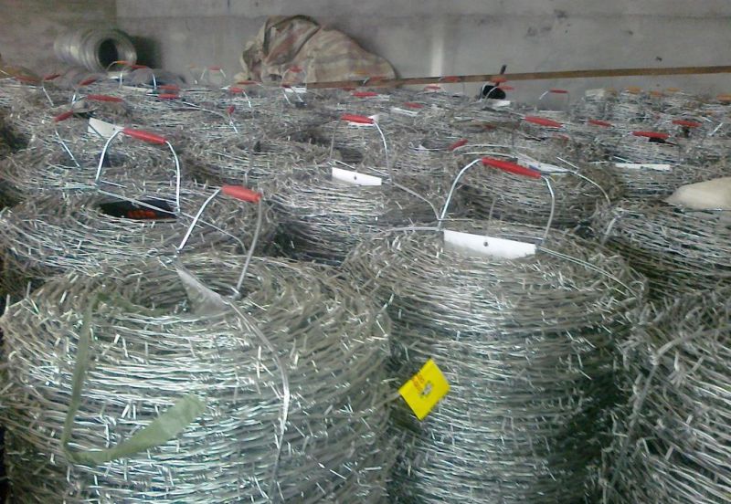 Electro and Hot Dipped Hot Dipped Barbe Wire (specialized manufacturer)