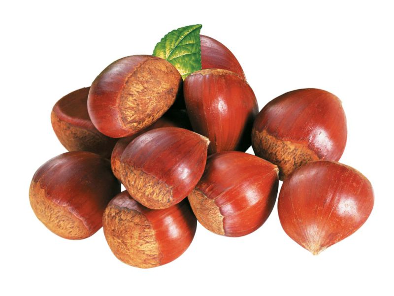 2016 Chinese Organic Fresh Chestnut