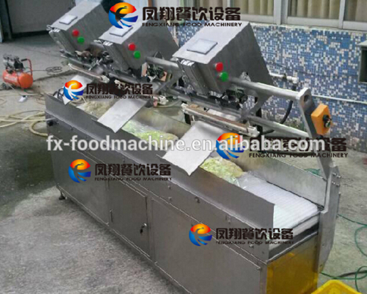 Fsdz-3 Streamlined Vacunnm (Gas Flushing) Packing Machine, Vacuum Packaging Machine for Vegetable Meat Fish Garlic Onon Potato Carrot Nuts Beans Rice Tea etc