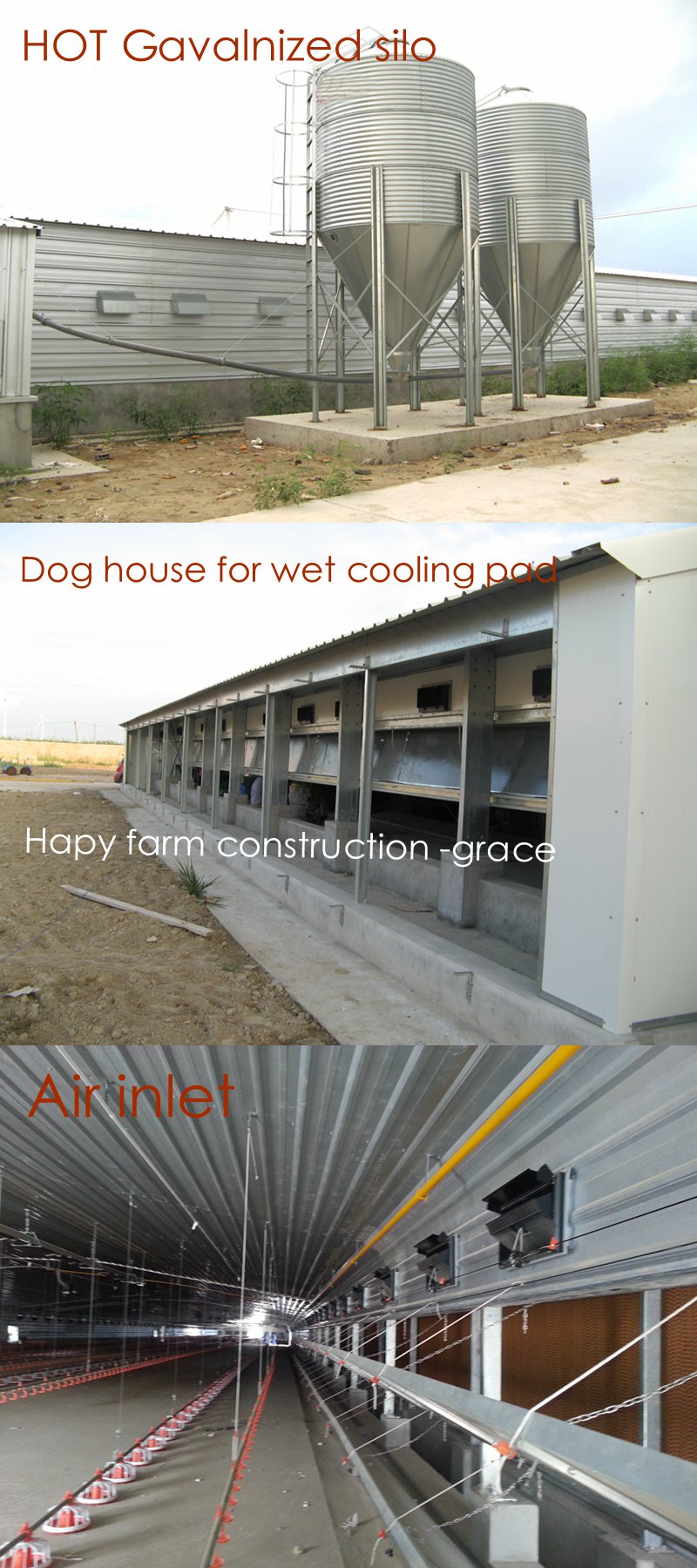 Prefabricated Poultry House with Full Set Breeding Equipment