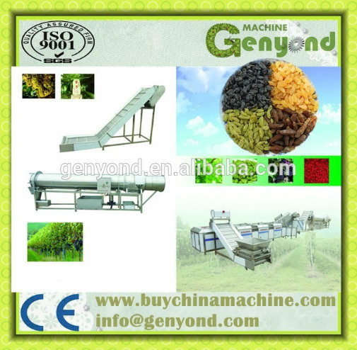 Top Quality Dried Raisin Cleaning Machine