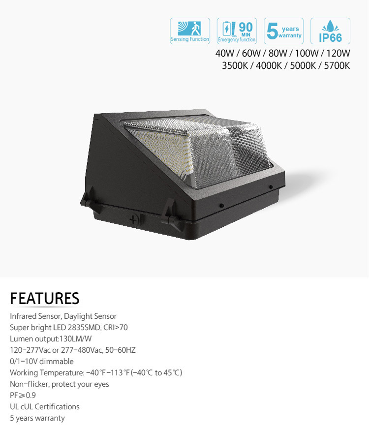 LED Wall Pack Light 140lm/w