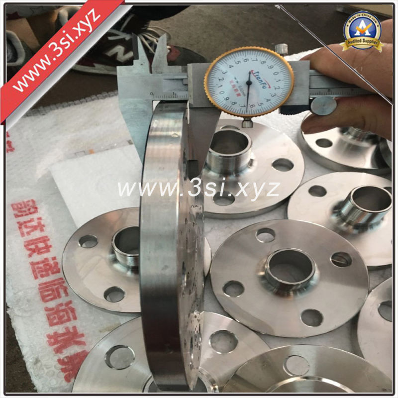 Hot Sale Forged Stainless Steel Welding Neck Flange (YZF-E382)