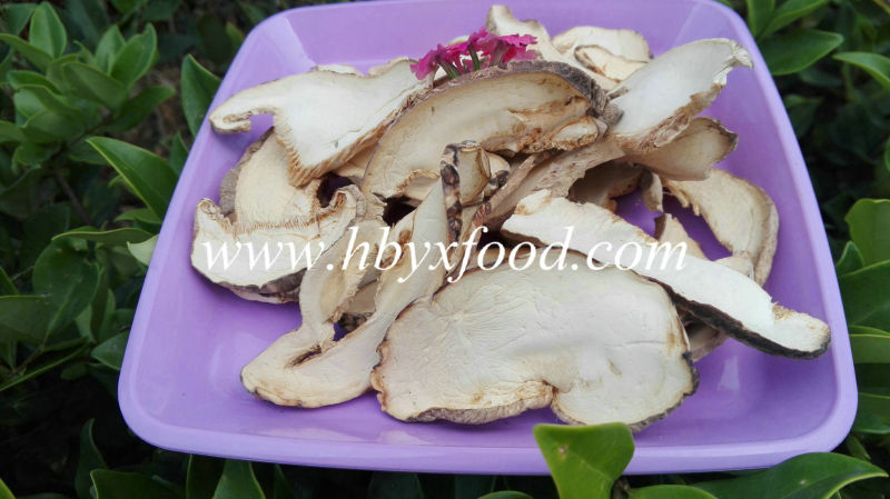 Competitive and Grade a Dried Mushroom Slices