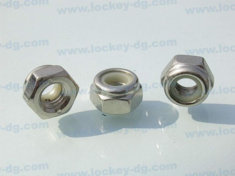 Ss 304 Hex Nylon Lock Nut