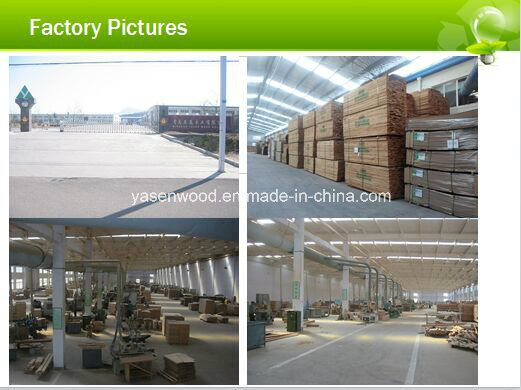 China Modern Design Interior/Exterior Wood/Wooden Door